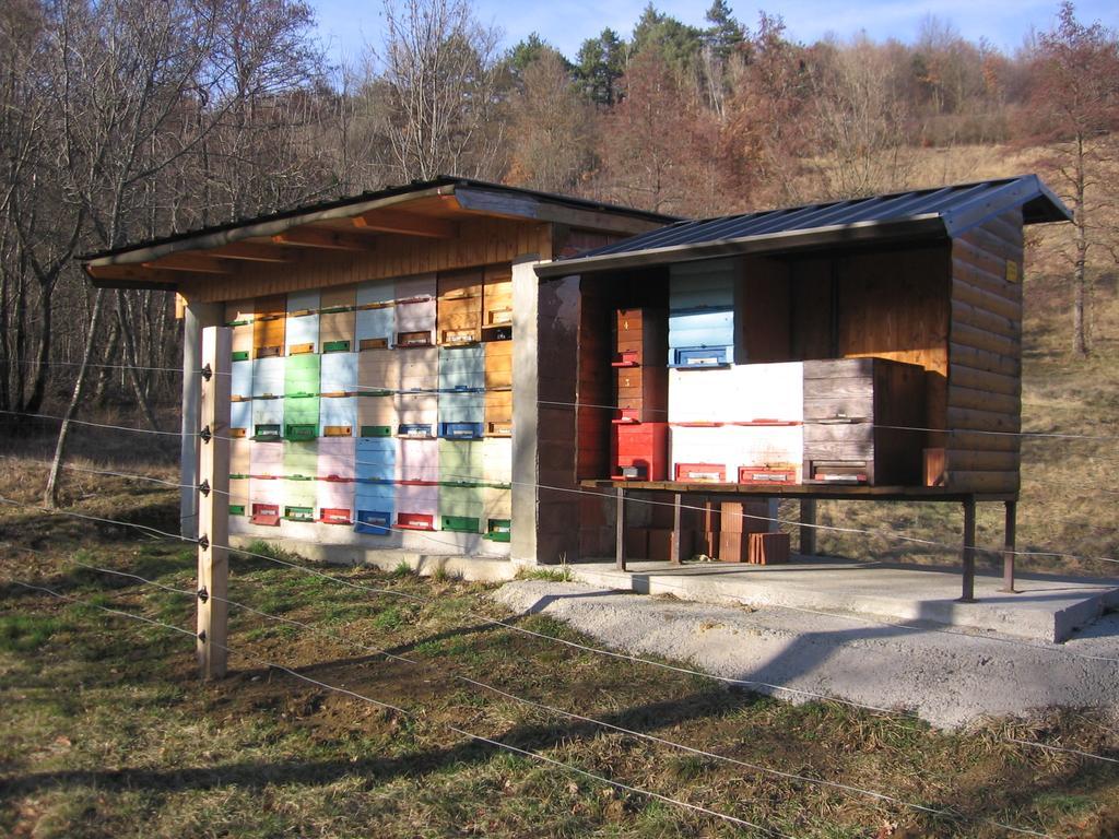 Guest House Roze 일리르스카비스트리차 외부 사진